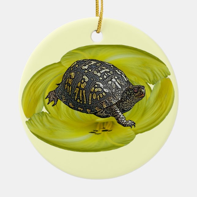 Ornement de Noël de tortue de boîte (Devant)