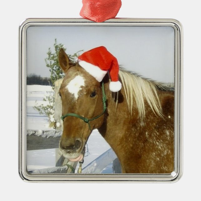 Ornement de Noël de vacances de cheval (Devant)