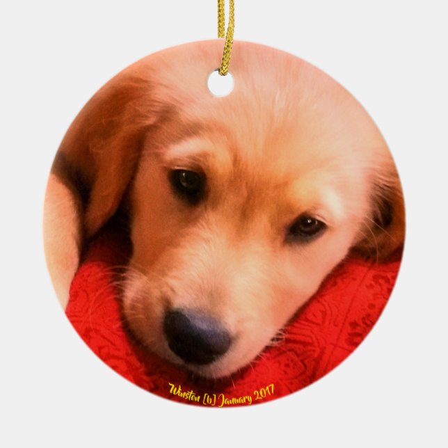 Ornement de Noël de Winston (Devant)