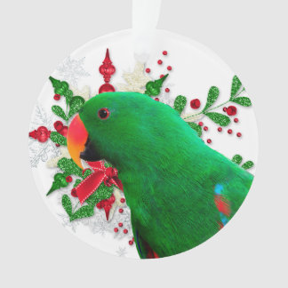 Ornement de Noël d'Eclectus