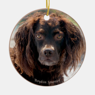 Ornement de Noël d'épagneul de Boykin