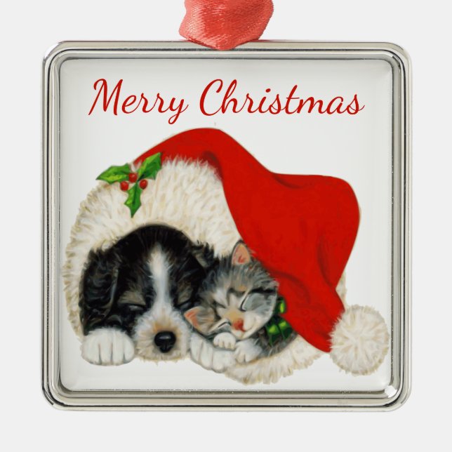 Ornement de Noël des chiots et des chatons (Devant)