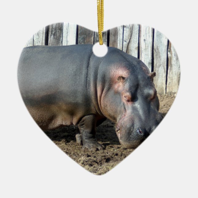 Ornement de Noël d'hippopotame (Devant)