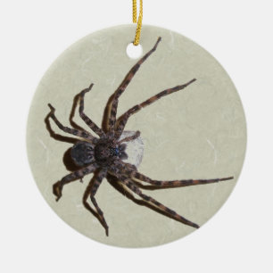 Ornement de Noël Dolomedes Mommy Spider