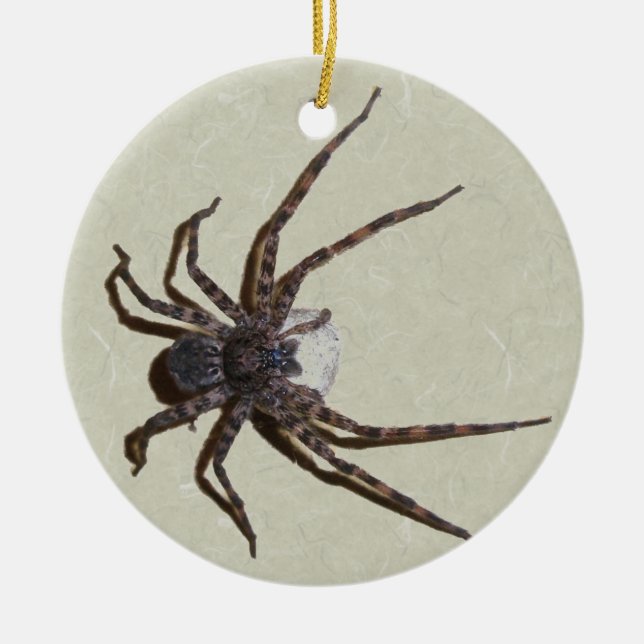 Ornement de Noël Dolomedes Mommy Spider (Devant)