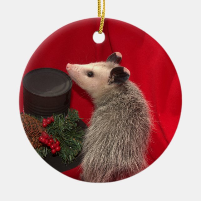 Ornement de Noël d'opossum (Devant)
