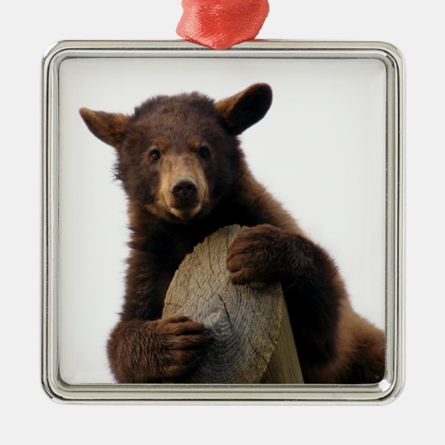 Ornement de Noël d'ours Brown (Devant)