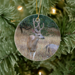 Ornement de Noël du cerf