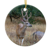 Ornement de Noël du cerf