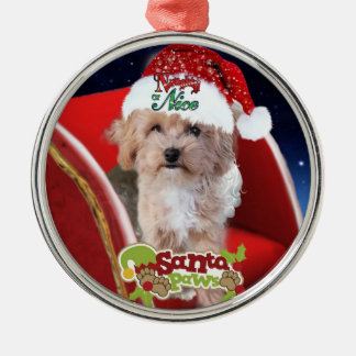 Ornement de Noël du chiot mignon Maltipoo