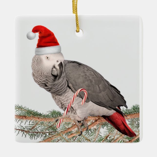 Ornement de Noël en céramique de perroquet gris d' (Devant)