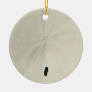 Ornement de Noël en forme de dollar de sable blanc