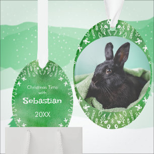 Ornement de Noël en forme d'ovale vert avec lapin