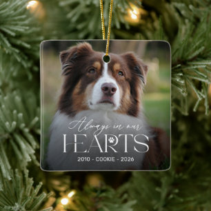 Ornement de Noël en mémoire du chien Toujours dans