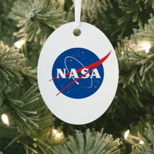 Ornement de Noël en métal de la NASA (Ellipse orbi