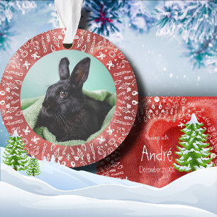 Ornement de Noël Lapin DIY sur fond rouge