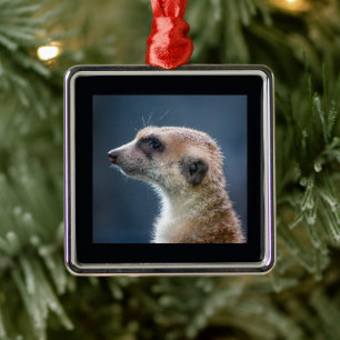 Ornement de Noël Mercurial Meerkat