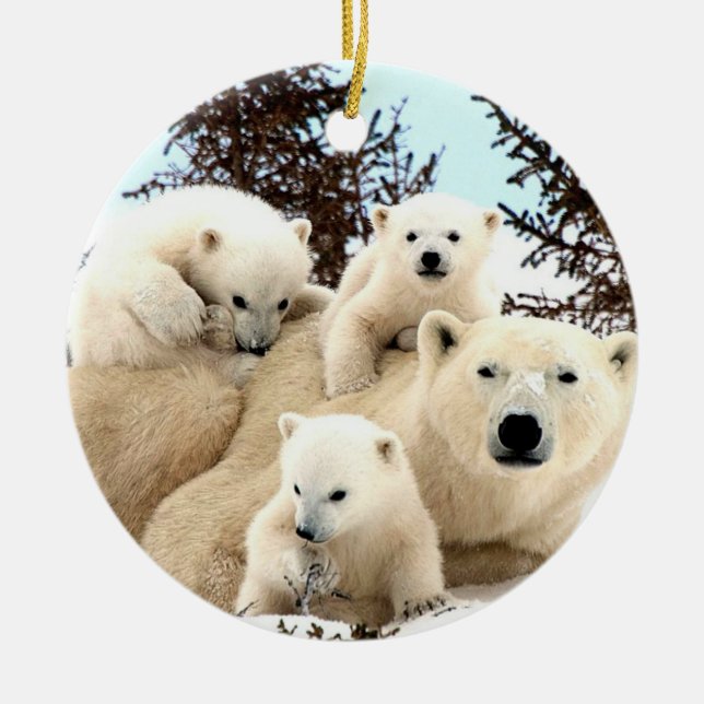 Ornement de Noël - Ours polaires (Devant)