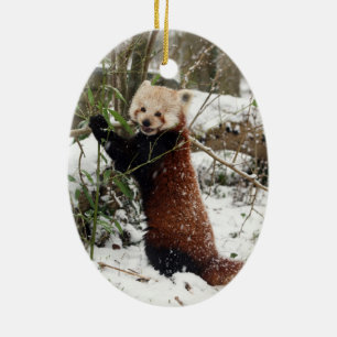 Ornement de Noël - panda rouge