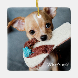 Ornement de Noël personnalisé carré pour Chihuahua