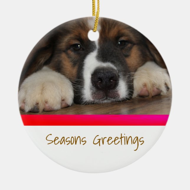 Ornement de Noël personnalisé pour animal de compa (Devant)