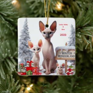 Ornement de Noël personnalisé pour la famille Sphy