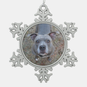 Ornement de Noël pitbull adorable