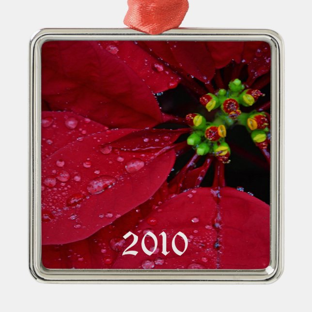 Ornement de Noël Ponsettia (Devant)