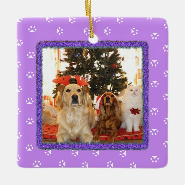 Ornement de Noël pour animaux de compagnie jolie v (Devant)