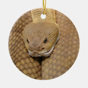 Ornement de Noël serpent Ornement serpent