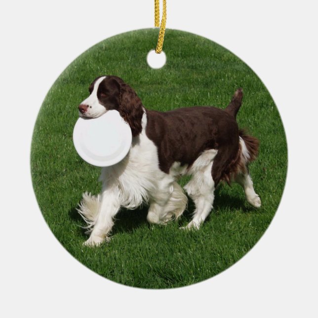 Ornement de Noël Springer Spaniel (Devant)