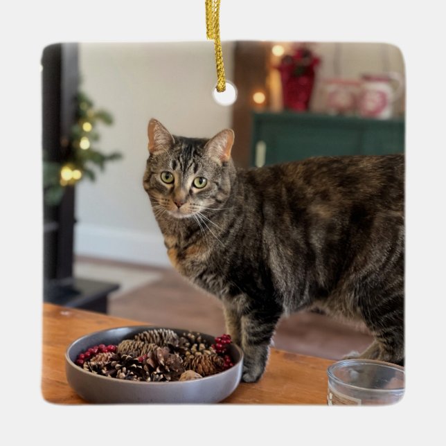Ornement de Noël Torti Kitty (Devant)