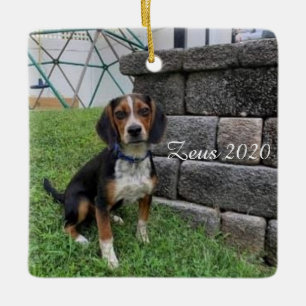 Ornement de Noël Zeus 2020