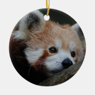 Ornement de panda rouge