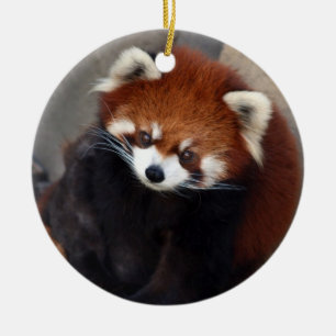 Ornement de panda rouge