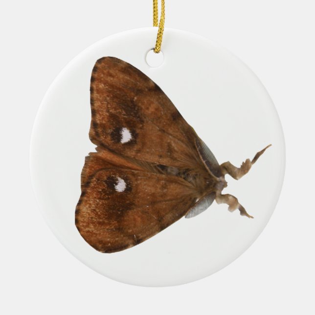 Ornement de papillon (Devant)