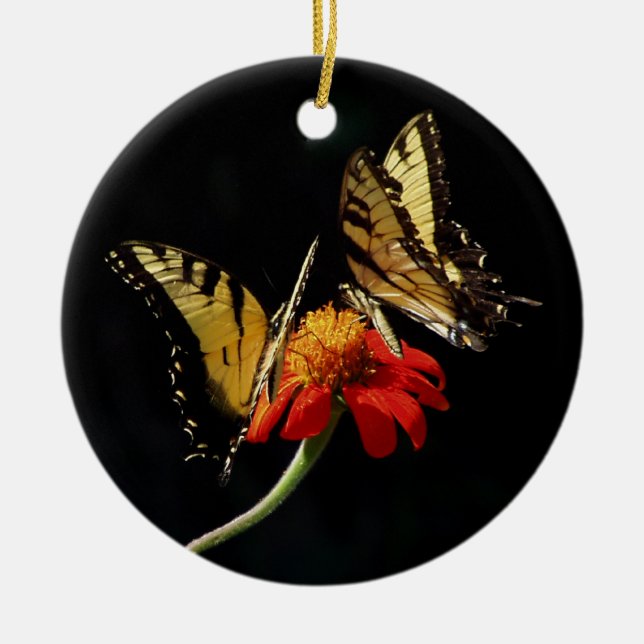 ORNEMENT DE PAPILLON DE MONARQUE (Devant)