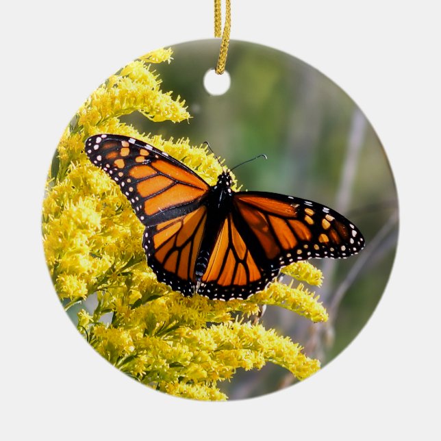 Ornement de papillon de monarque (Devant)