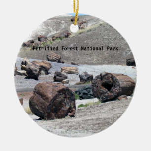 Ornement de parc national de forêt Petrified