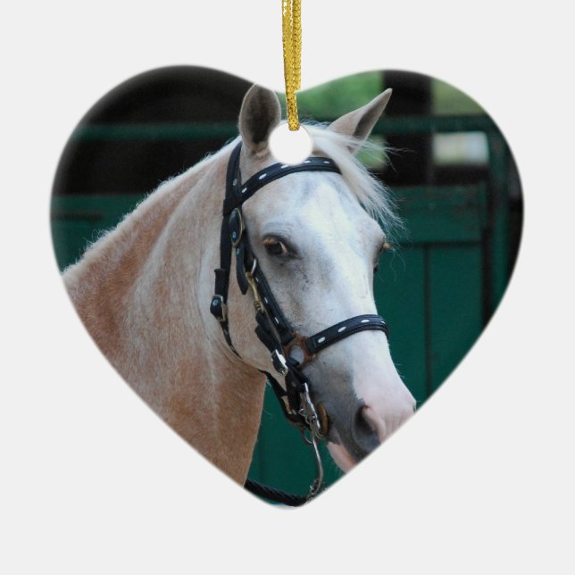 Ornement de Paso Fino de palomino (Devant)