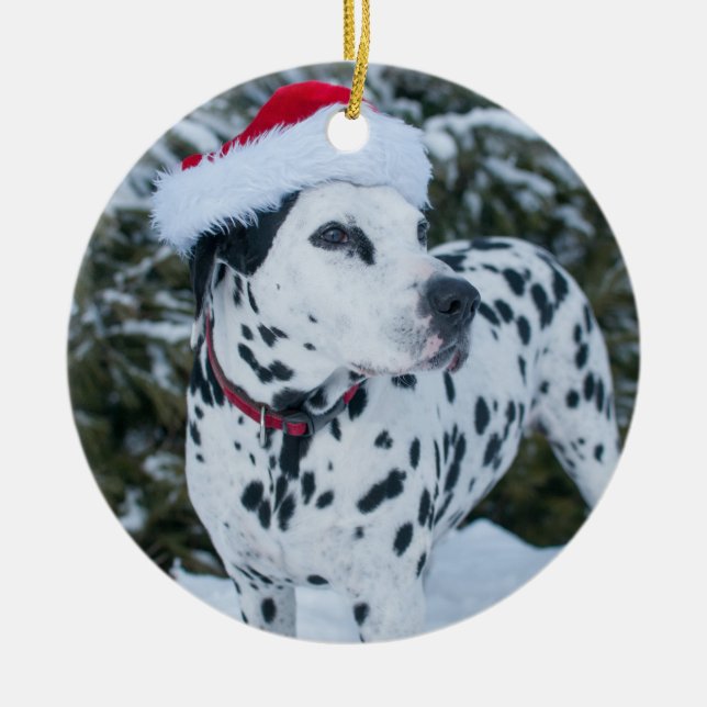 Ornement de Père Noël de Dalmate (Devant)