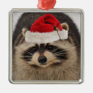 Ornement de père Noël de raton laveur