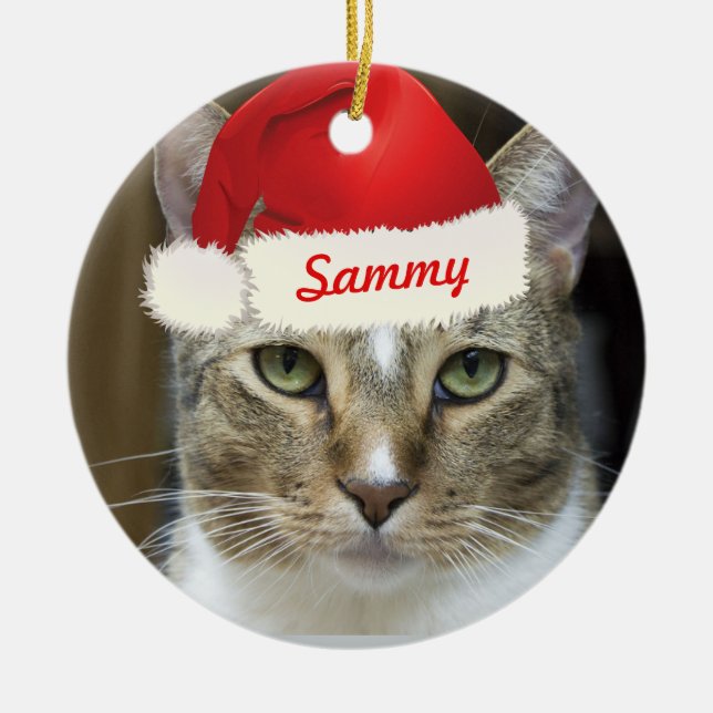 Ornement de Père Noël Paws (Devant)