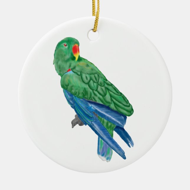 Ornement de perroquet d'Eclectus (Devant)