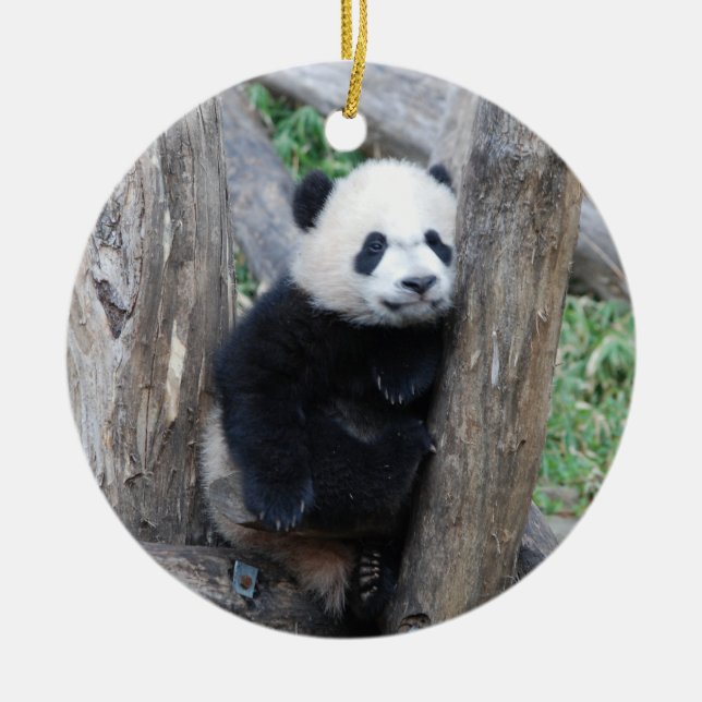 Ornement de petit animal de panda géant de Bei Bei (Devant)
