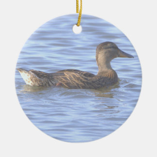 Ornement de photo de canard 