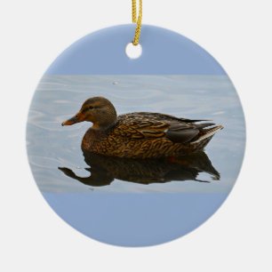Ornement de photo de canard