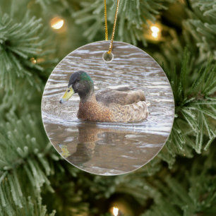 Ornement de photo de canard colvert