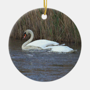 Ornement de photo de cygne