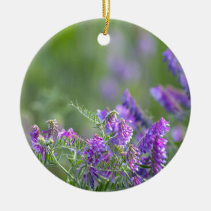 Ornement de photo de fleurs sauvages violettes